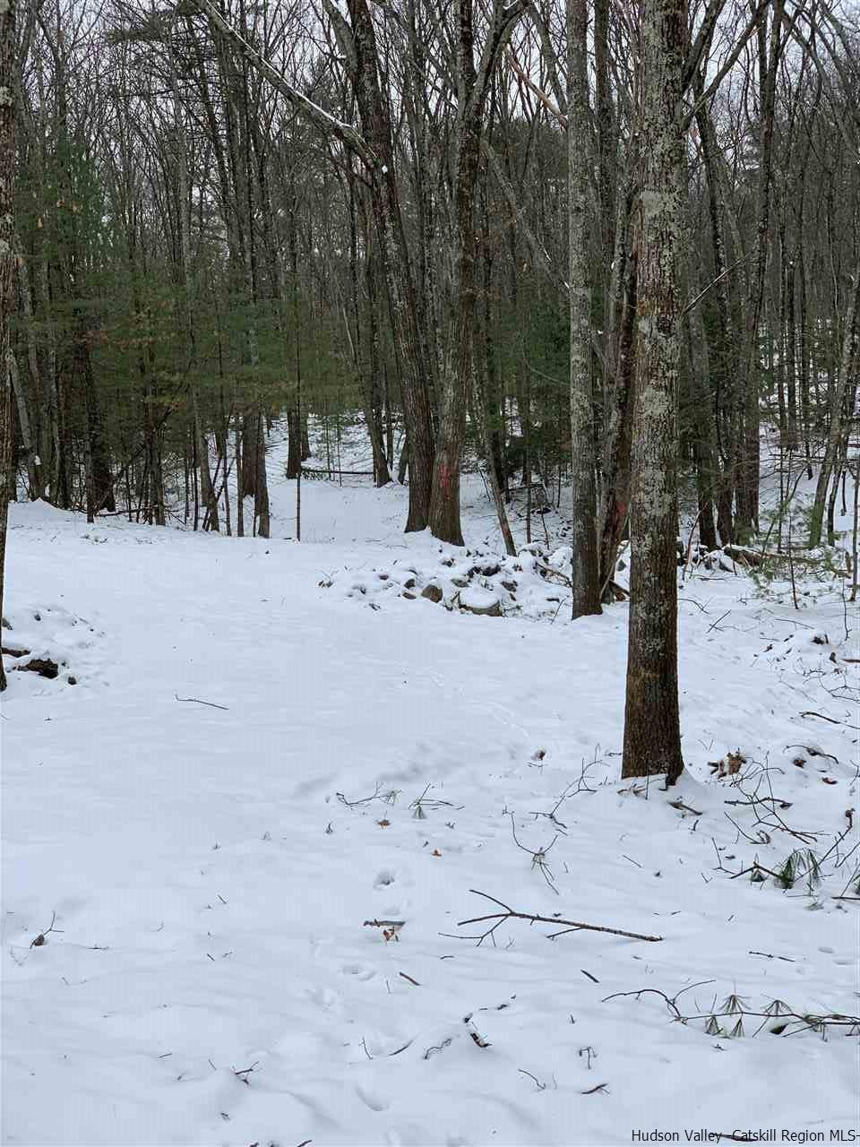 Tbd Samsonville Road Kerhonkson, NY 12446 - Photo 3 of 14 Photo 3