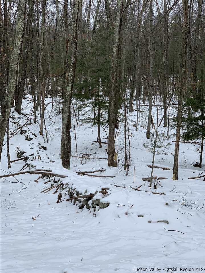 Tbd Samsonville Road Kerhonkson, NY 12446 - Photo 4 of 14 Photo 4