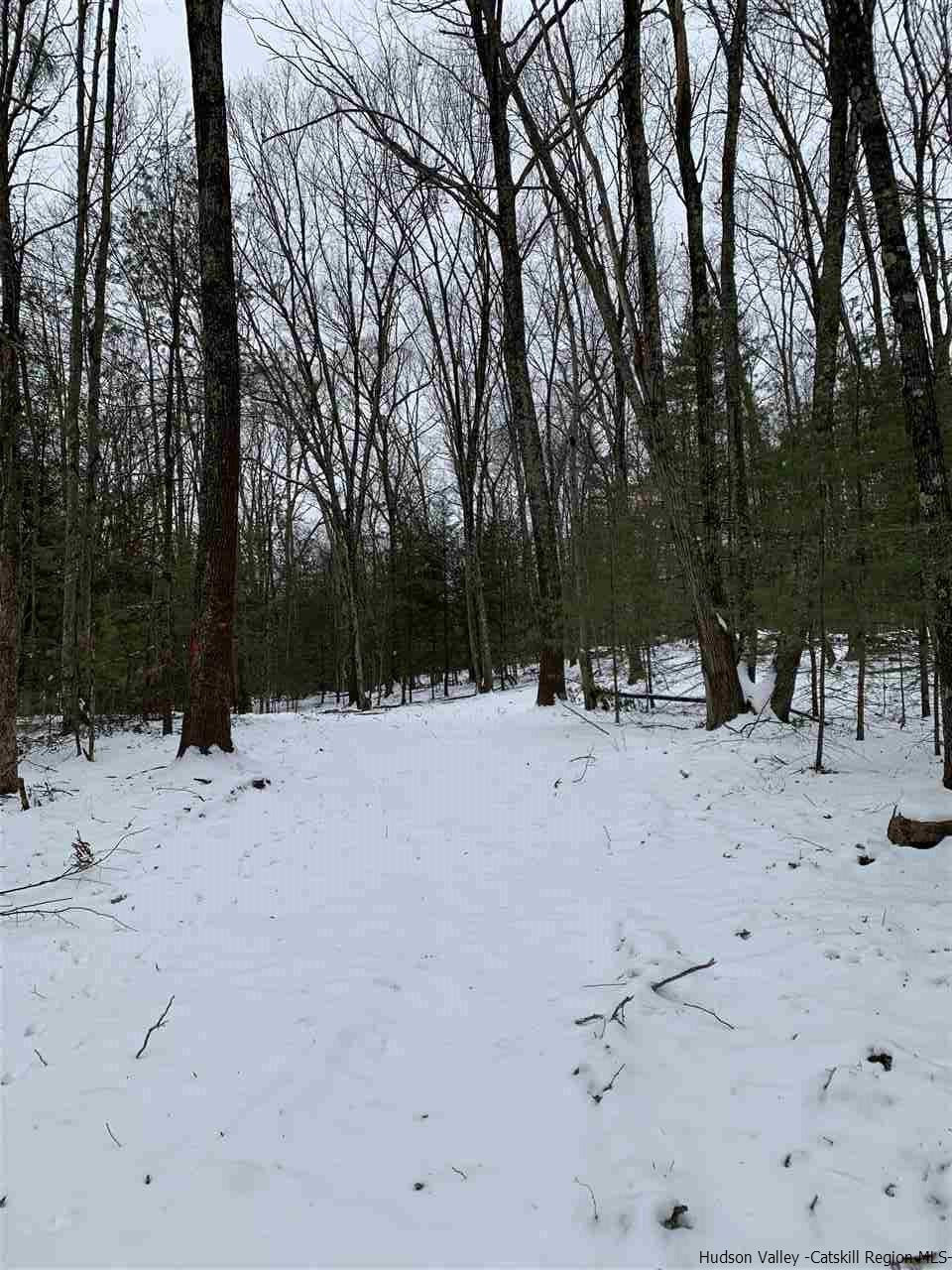 Tbd Samsonville Road Kerhonkson, NY 12446 - Photo 5 of 14 Photo 5