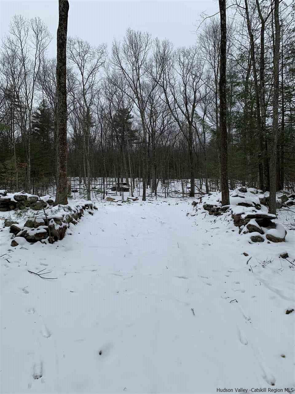 Tbd Samsonville Road Kerhonkson, NY 12446 - Photo 6 of 14 Photo 6