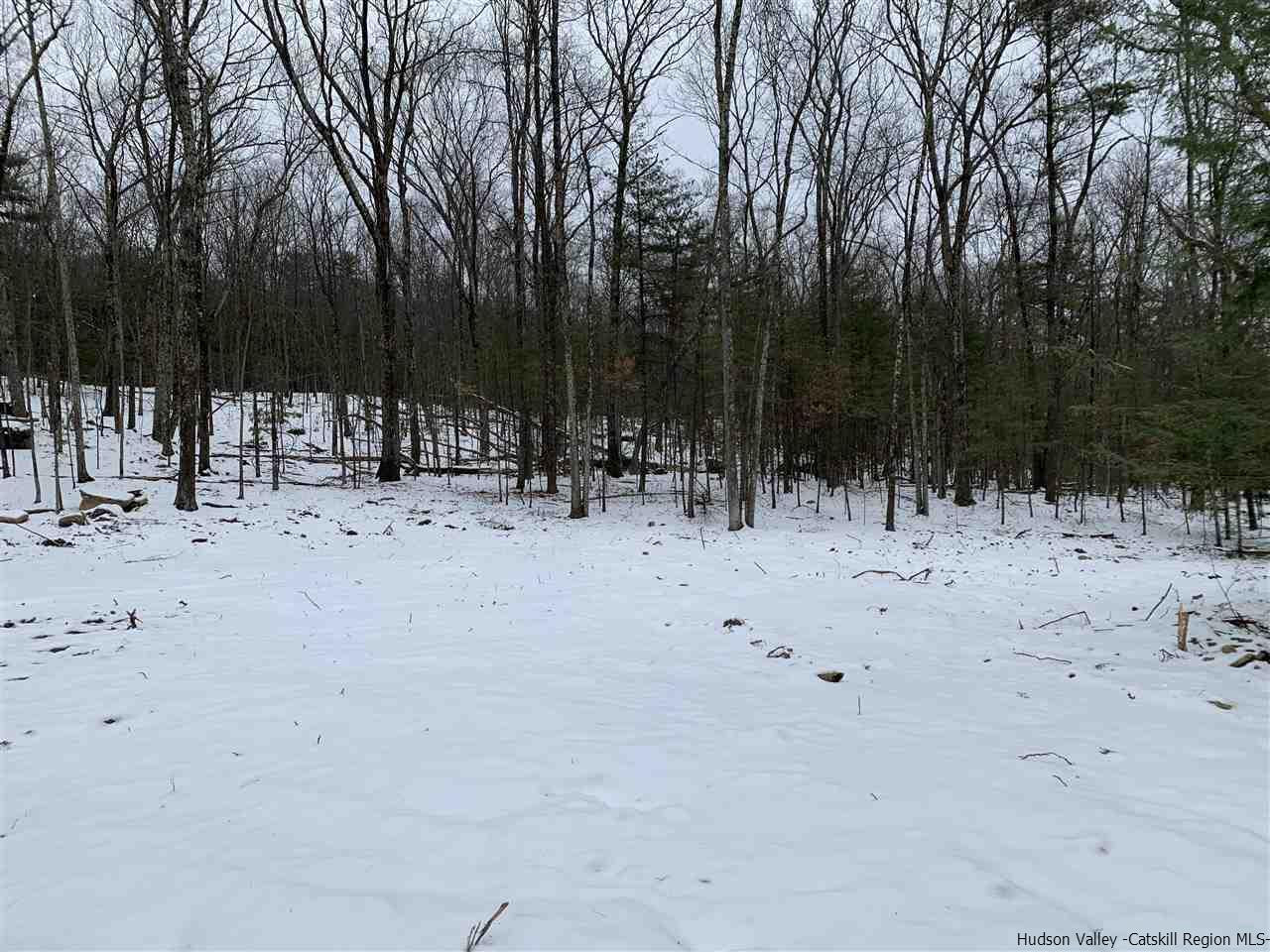 Tbd Samsonville Road Kerhonkson, NY 12446 - Photo 7 of 14 Photo 7