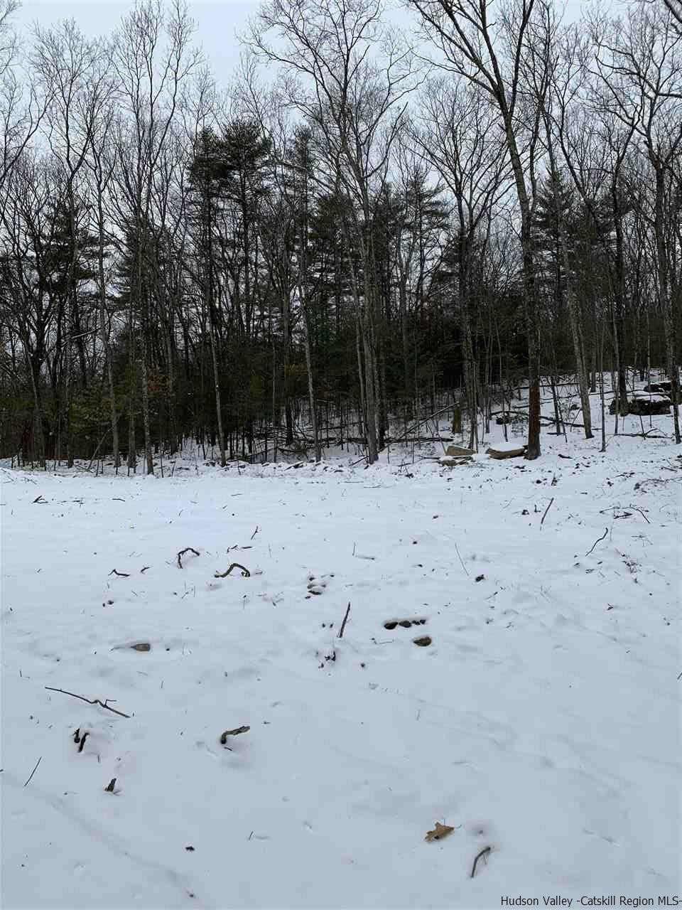 Tbd Samsonville Road Kerhonkson, NY 12446 - Photo 8 of 14 Photo 8