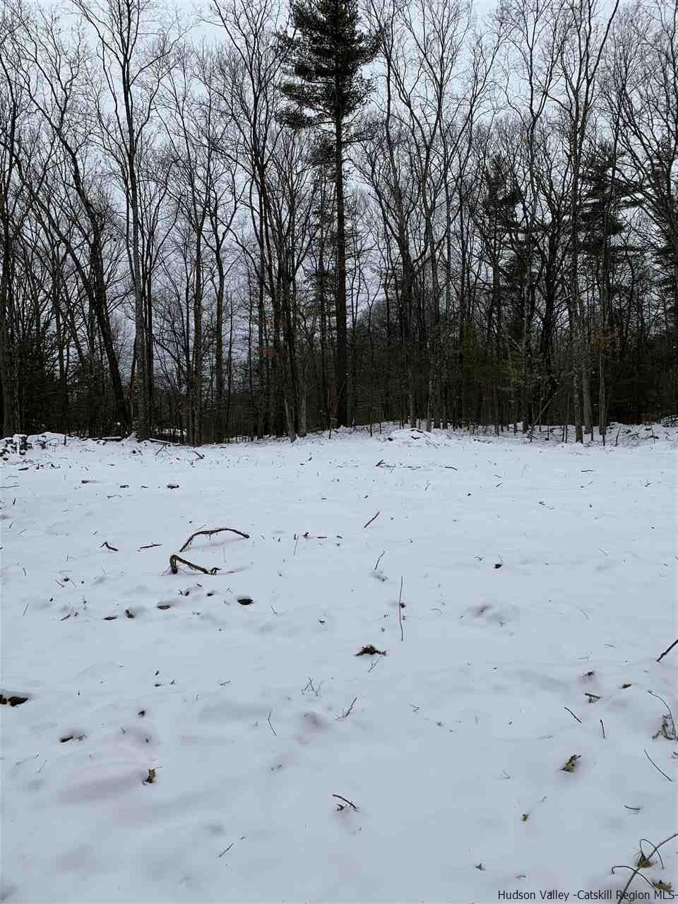 Tbd Samsonville Road Kerhonkson, NY 12446 - Photo 9 of 14 Photo 9