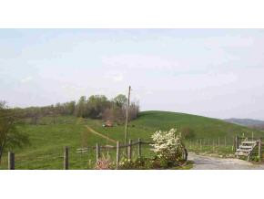 0 Bluff Hollow Road Damascus, VA 24236 - Photo 1 of 1 Photo 1