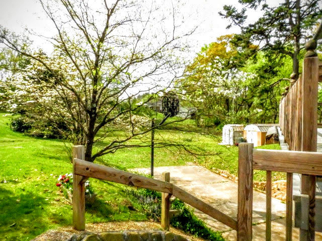 1242 Northern Hills Road Hixson, TN 37343 - Photo 18 of 49 View from Back Door Deck