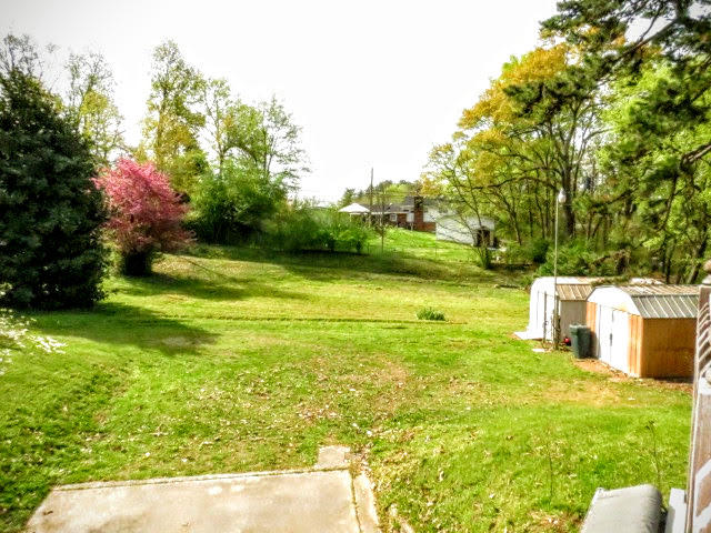 1242 Northern Hills Road Hixson, TN 37343 - Photo 19 of 49 View of HUGE backyard