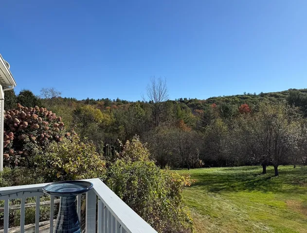 a view of a lush green field