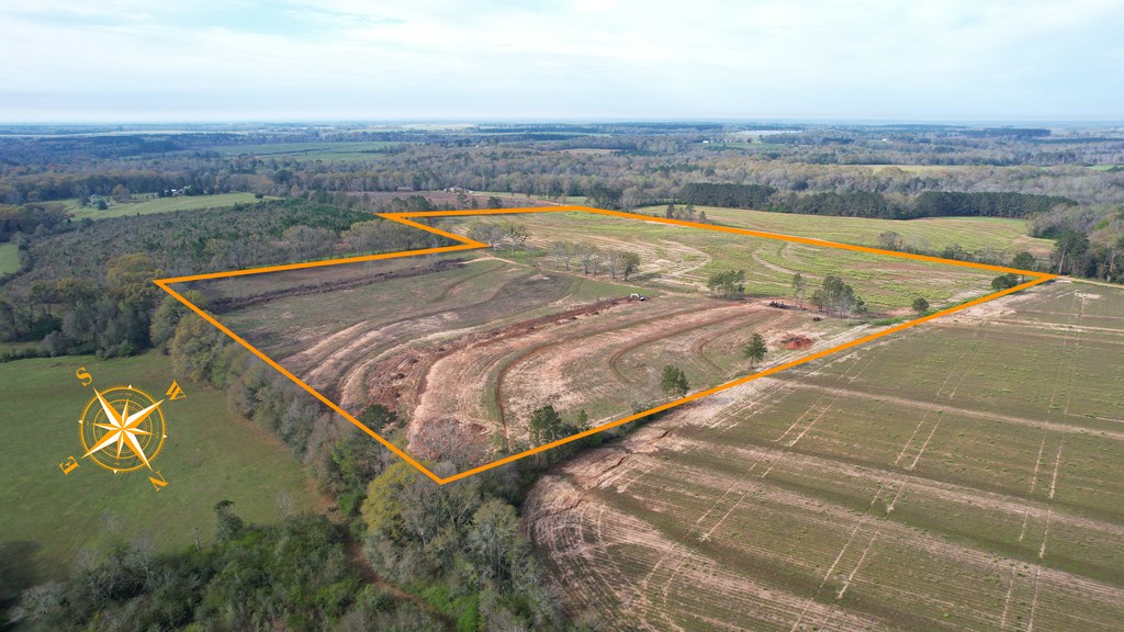 0 Travis Wise Road Samson, AL 36477 - Photo 2 of 21
