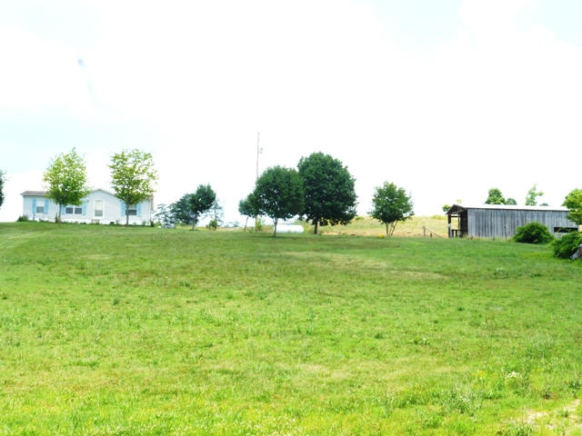 768 Deep Springs Road Dandridge, TN 37725 - Photo 2 of 14 001
