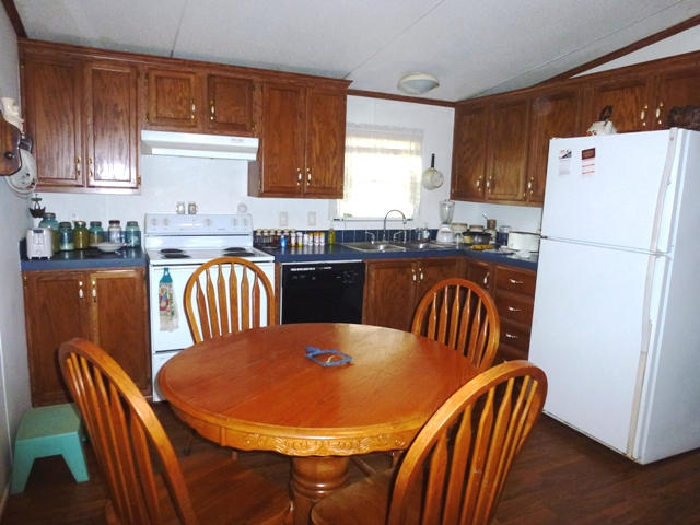 768 Deep Springs Road Dandridge, TN 37725 - Photo 13 of 14 013