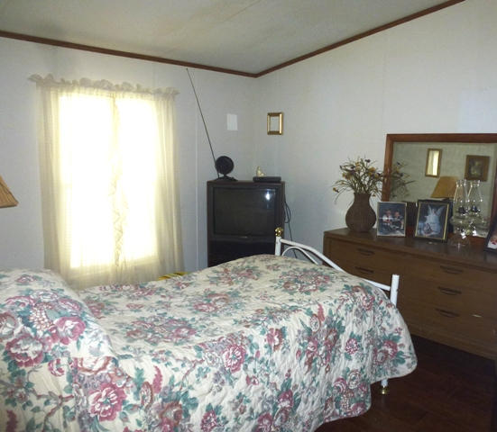 768 Deep Springs Road Dandridge, TN 37725 - Photo 10 of 14 010