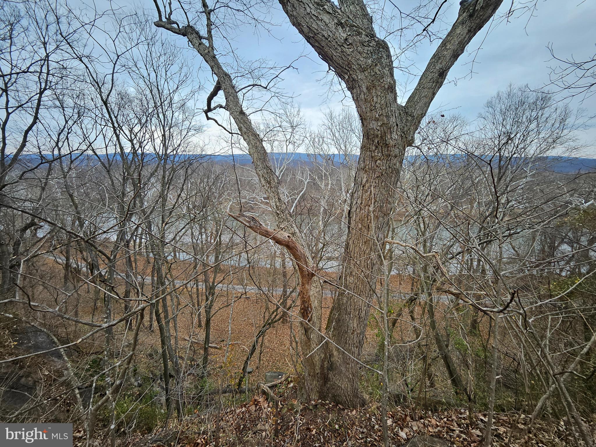 Bethany Lane Charles Town, WV 25414 - Photo 12 of 37