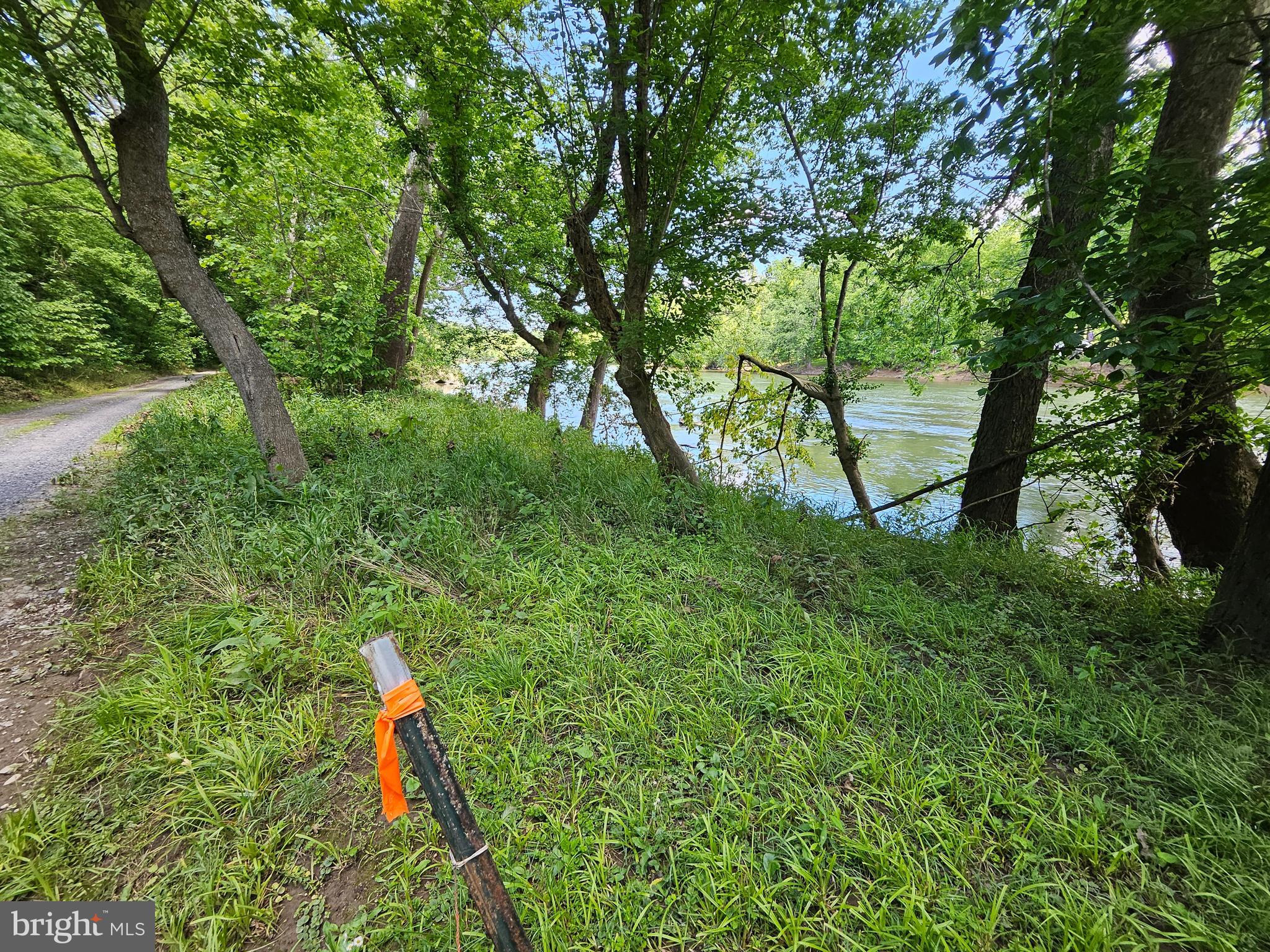 Bethany Lane Charles Town, WV 25414 - Photo 14 of 37 a flag is in the middle of a forest