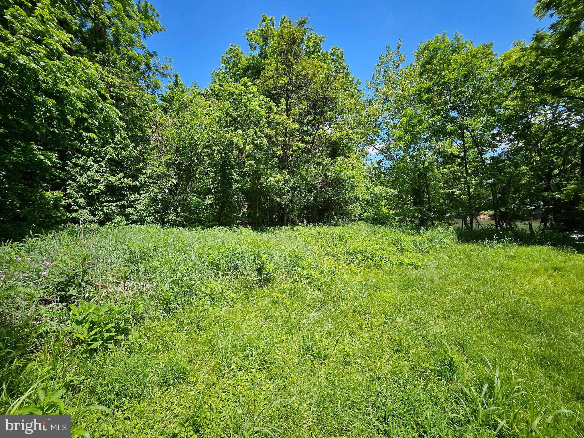 Bethany Lane Charles Town, WV 25414 - Photo 23 of 37 a view of an outdoor space and a yard