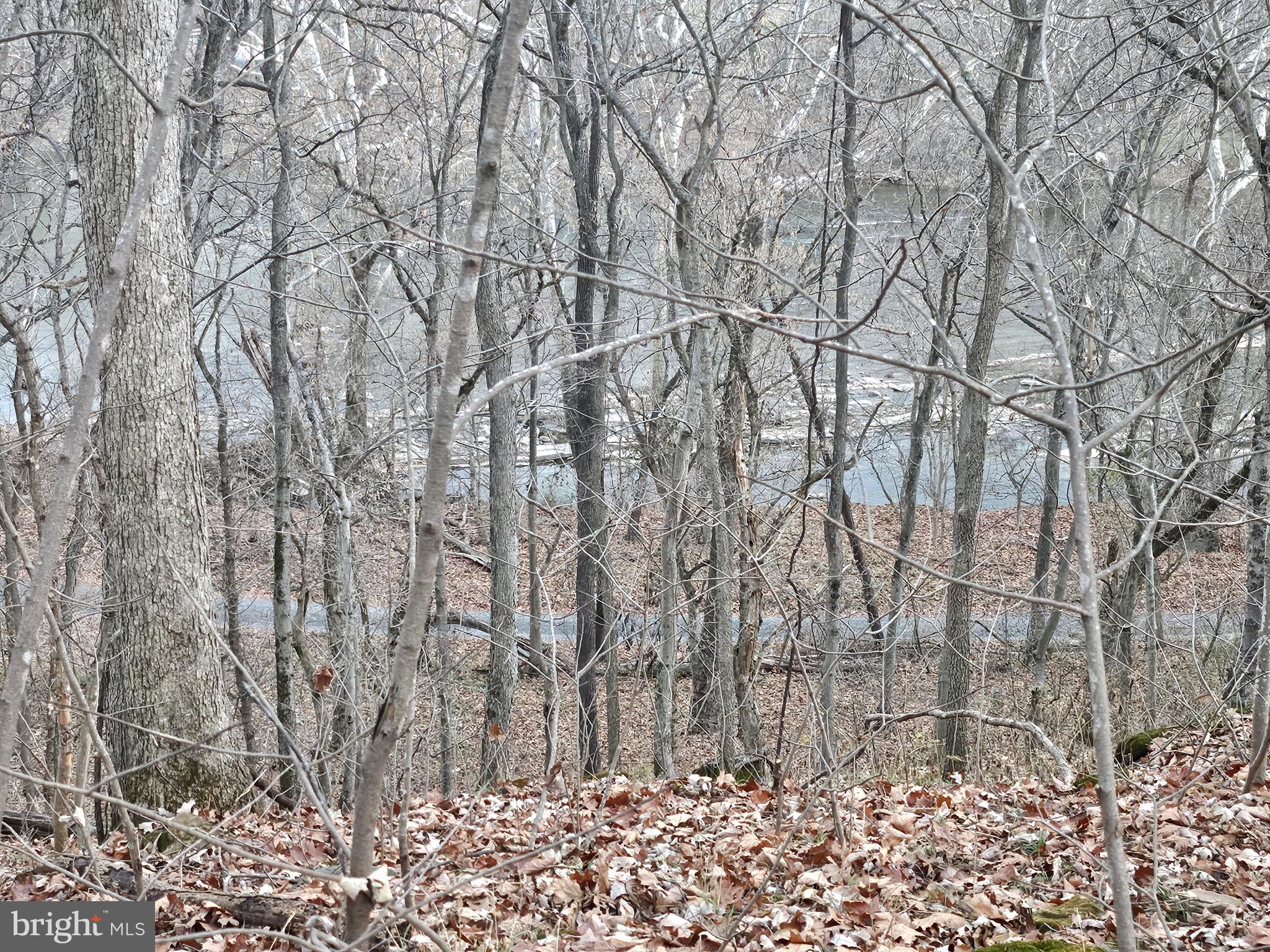 Bethany Lane Charles Town, WV 25414 - Photo 29 of 37 a backyard of a house with a trees