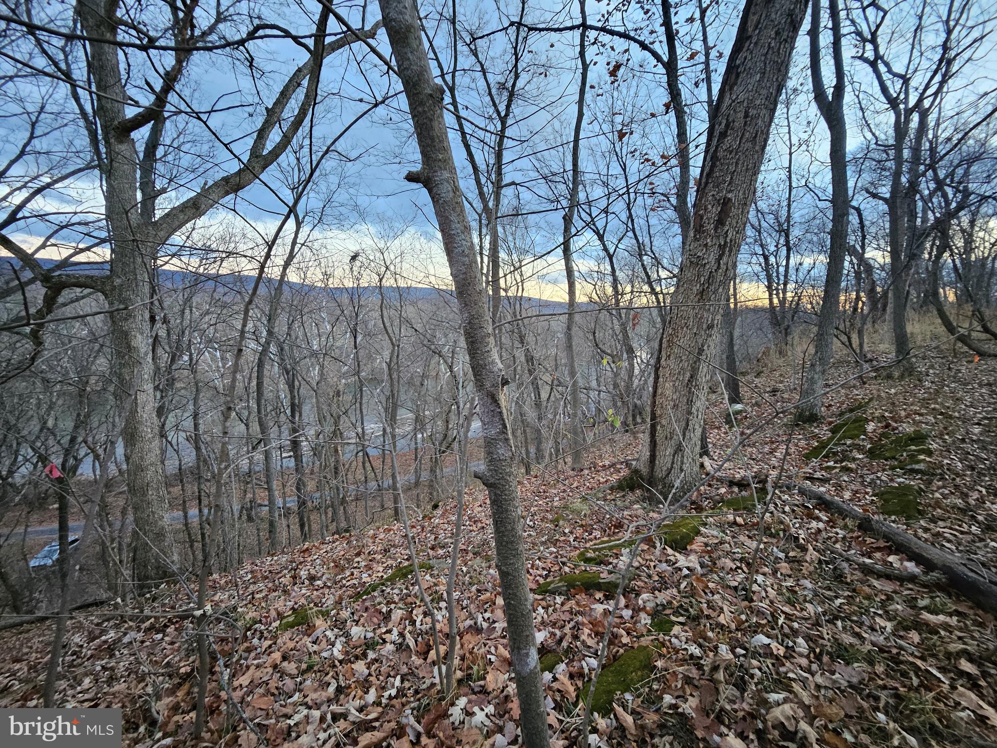 Bethany Lane Charles Town, WV 25414 - Photo 30 of 37 a backyard of a house with lots of green space