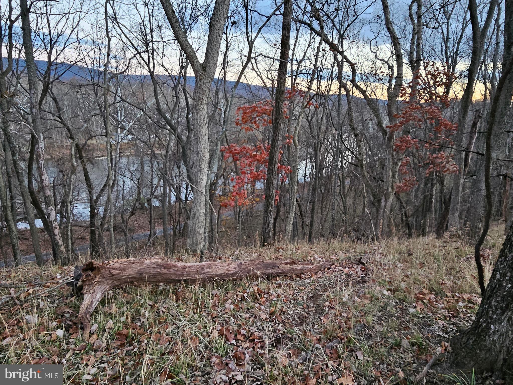 Bethany Lane Charles Town, WV 25414 - Photo 31 of 37 a view of outdoor space with trees