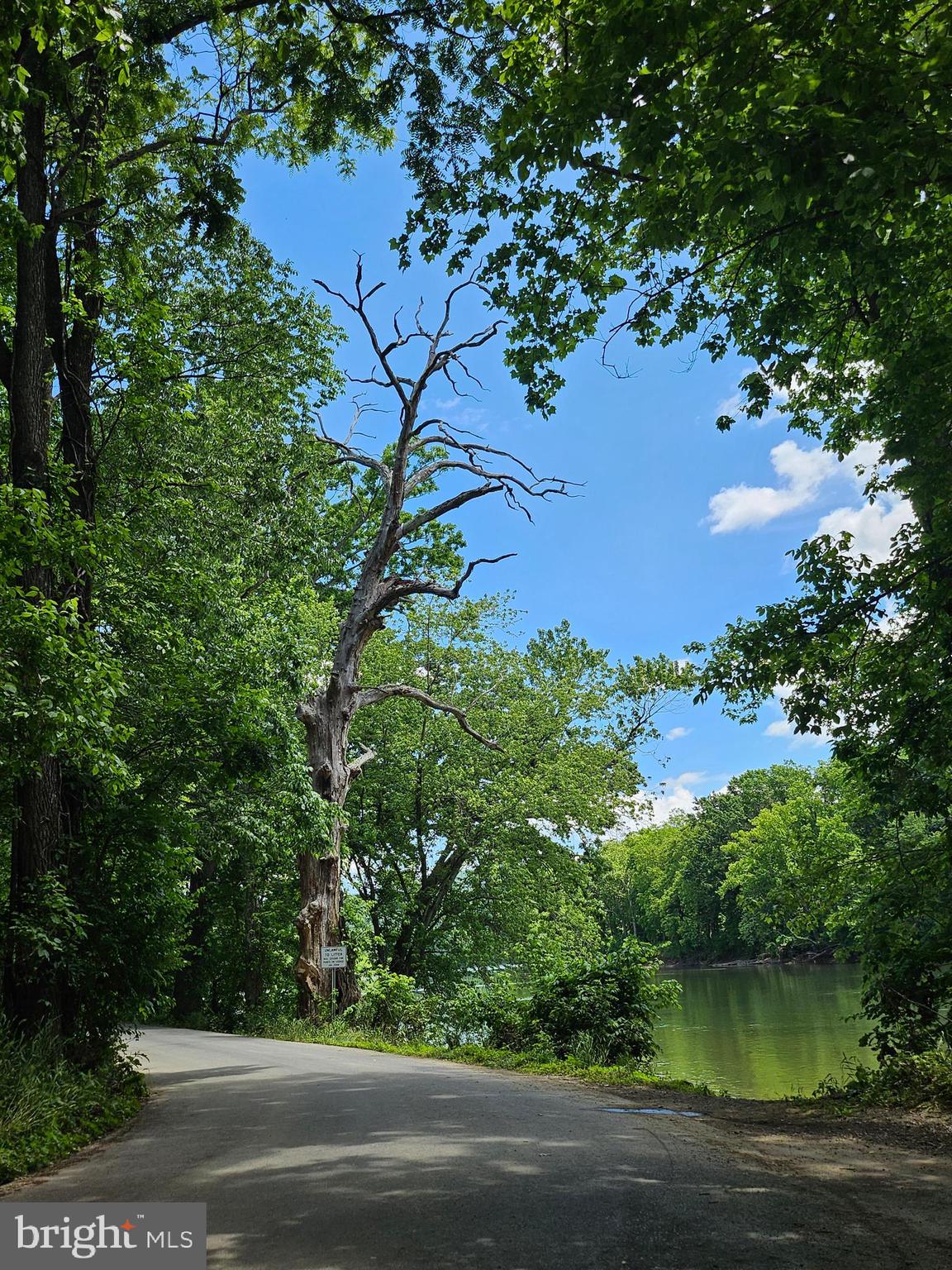 Bethany Lane Charles Town, WV 25414 - Photo 32 of 37 a view of a lake with a tree
