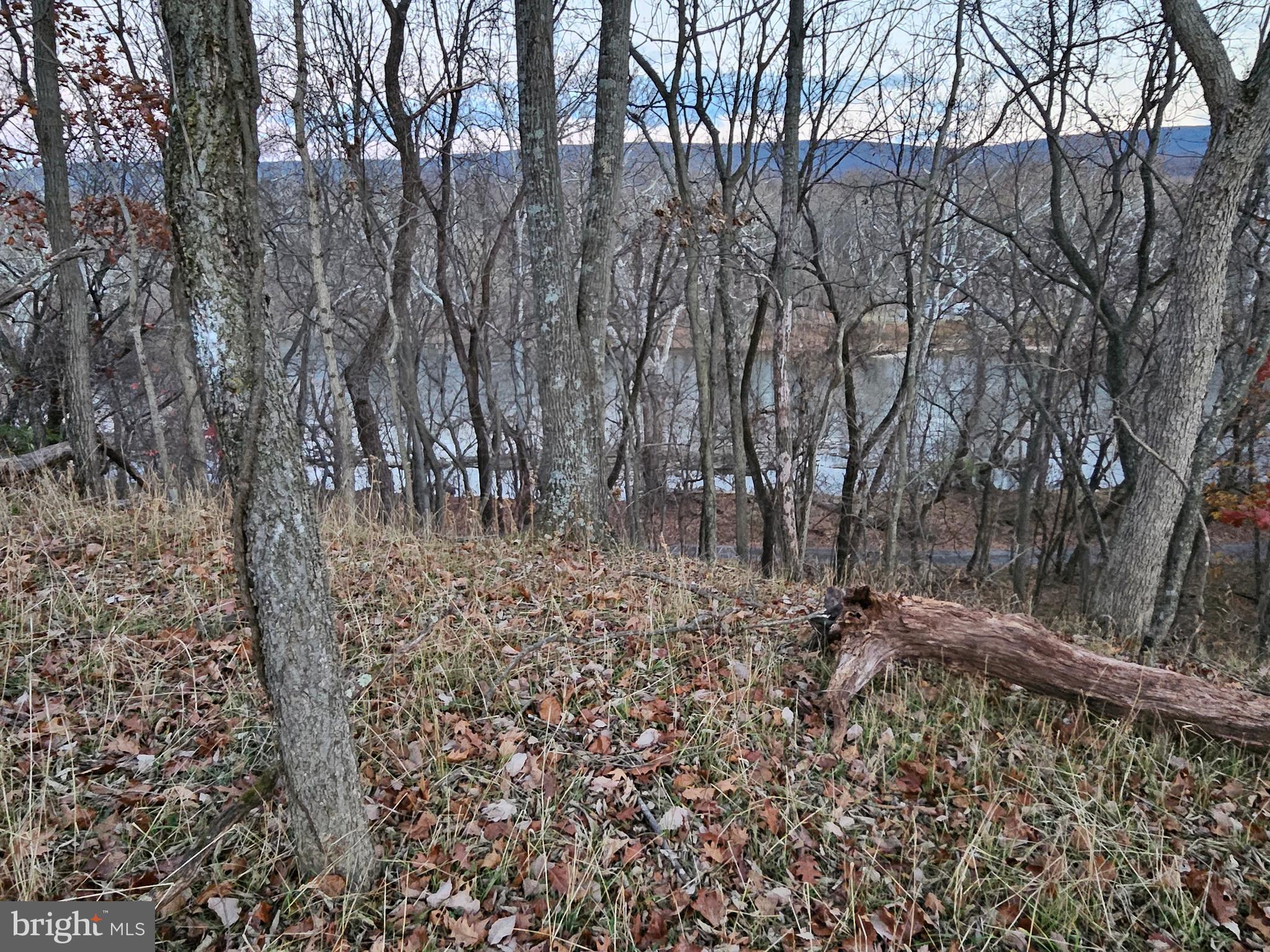 Bethany Lane Charles Town, WV 25414 - Photo 33 of 37 a view of a yard with large trees