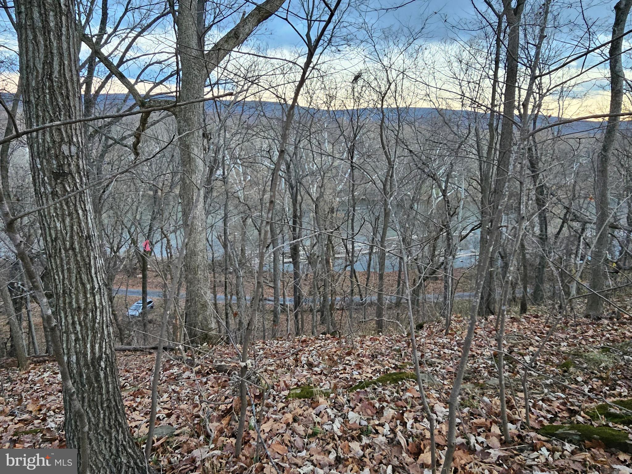 Bethany Lane Charles Town, WV 25414 - Photo 35 of 37 a view of a yard with trees in the background