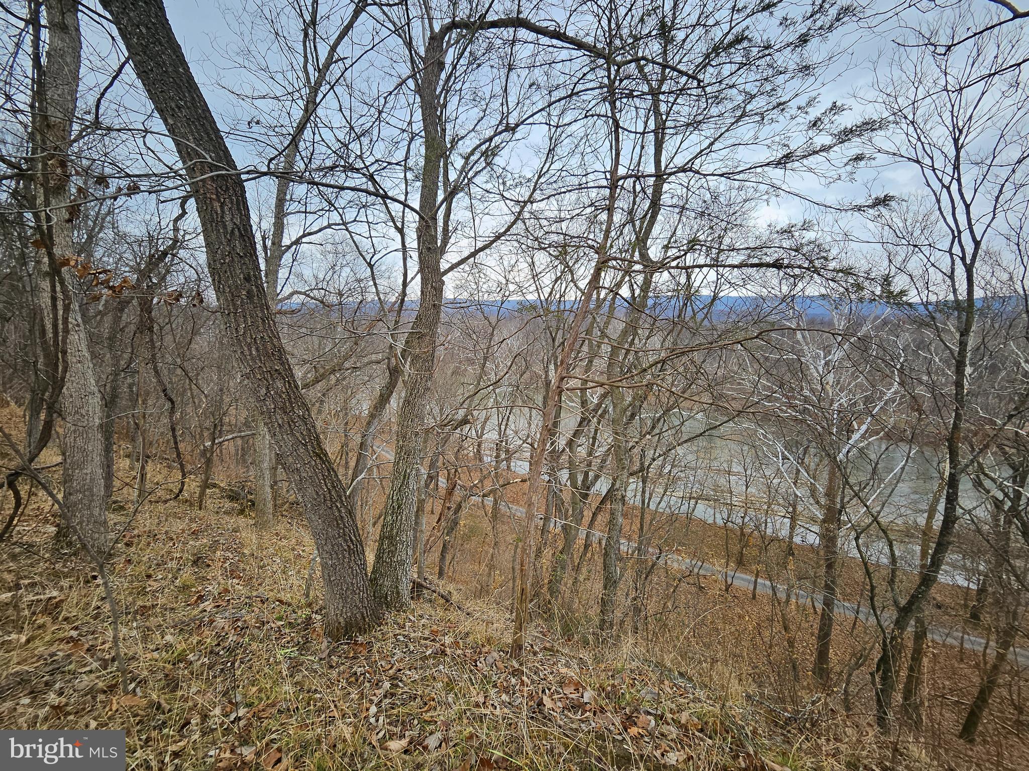 Bethany Lane Charles Town, WV 25414 - Photo 6 of 37 a backyard of a house with lots of green space