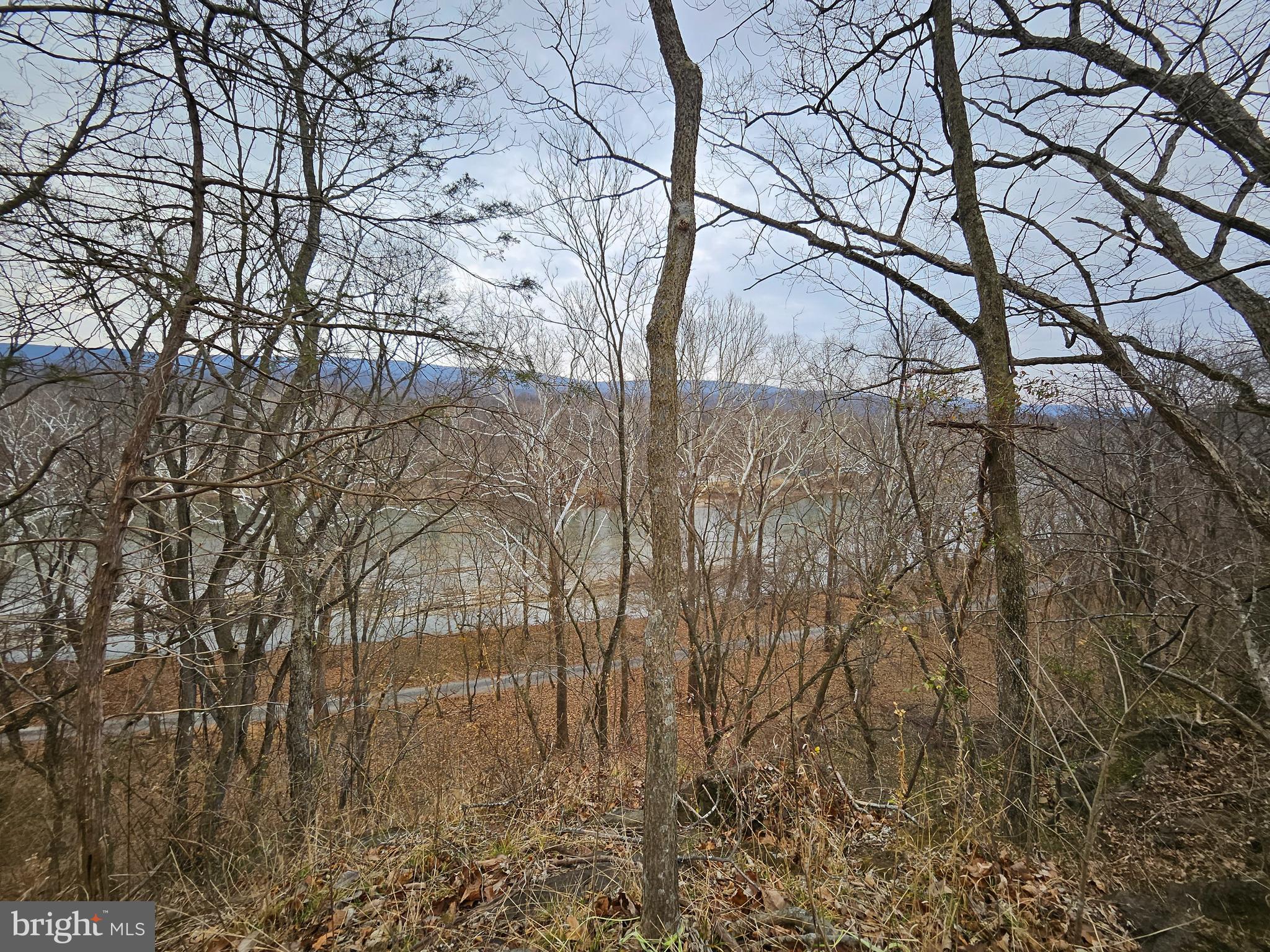 Bethany Lane Charles Town, WV 25414 - Photo 9 of 37 a backyard of a house with lots of green space