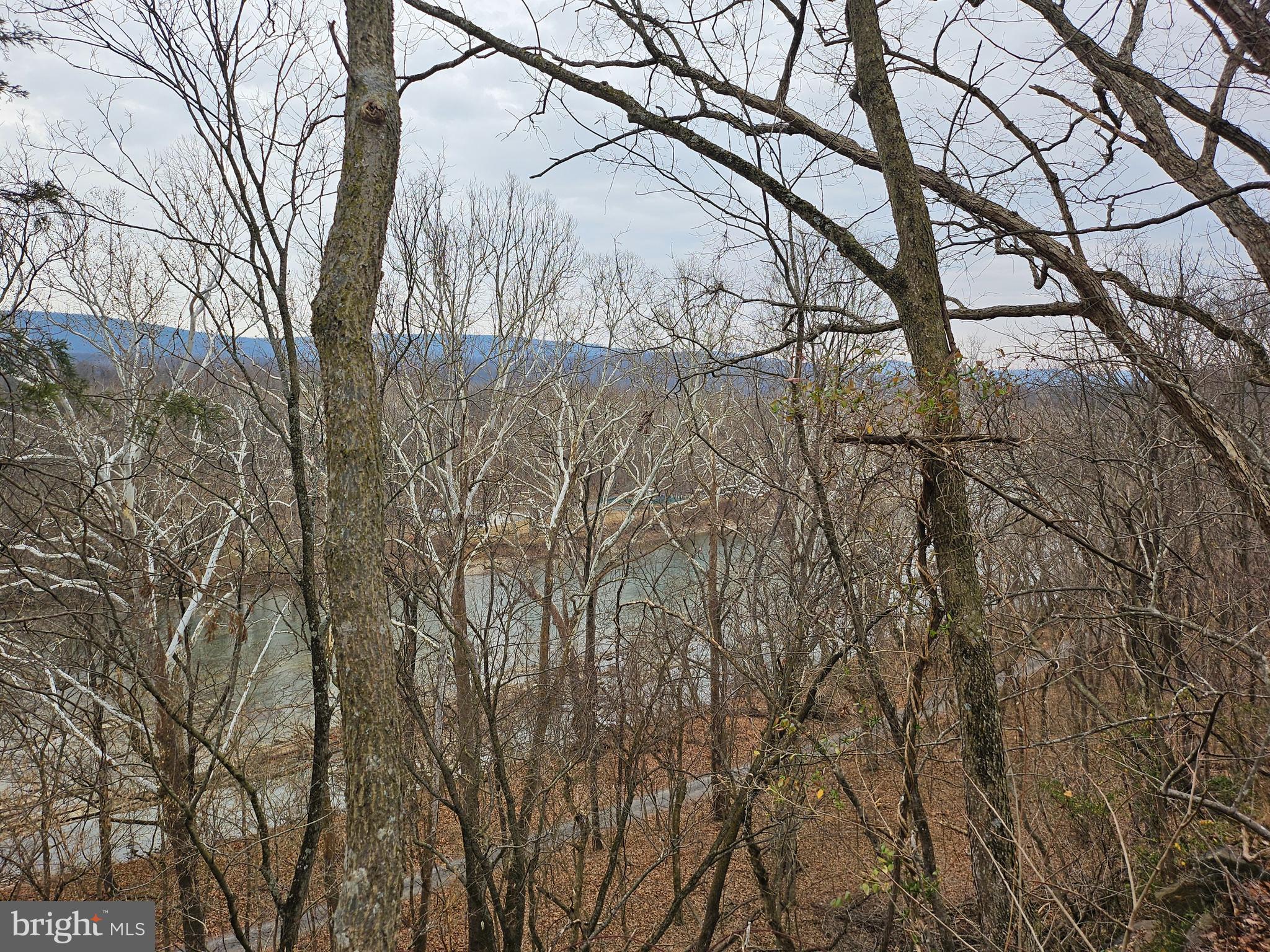 Bethany Lane Charles Town, WV 25414 - Photo 10 of 37 a view of a yard with a tree