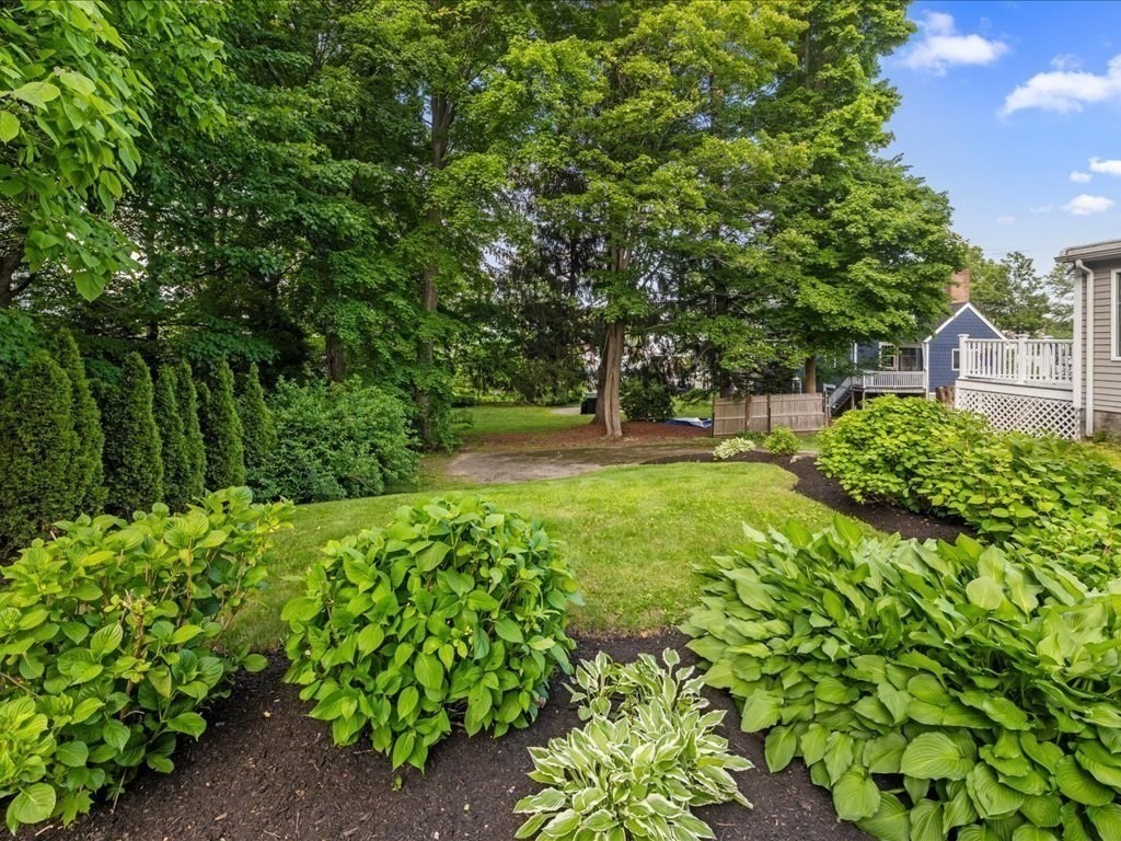 55 Dwight Street Dedham, MA 02026 - Photo 35 of 41 a view of yard with green space