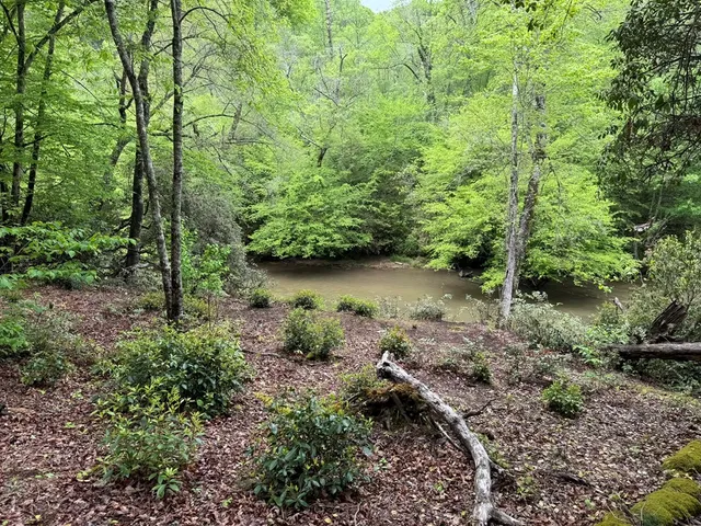 $74,900 | 25 Holly Pt Drive, Murphy, NC 28906