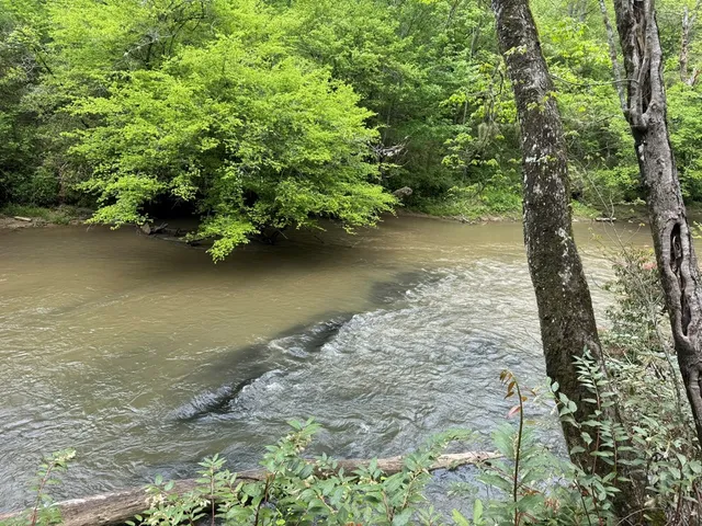 $74,900 | 25 Holly Pt Drive, Murphy, NC 28906