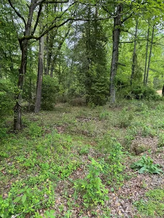 $74,900 | 25 Holly Pt Drive, Murphy, NC 28906