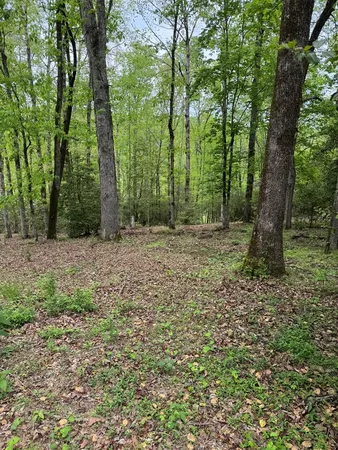 $74,900 | 25 Holly Pt Drive, Murphy, NC 28906