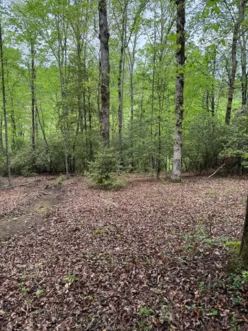 $74,900 | 25 Holly Pt Drive, Murphy, NC 28906