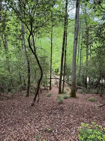 $74,900 | 25 Holly Pt Drive, Murphy, NC 28906