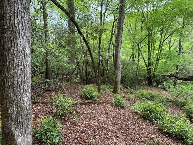 $74,900 | 25 Holly Pt Drive, Murphy, NC 28906