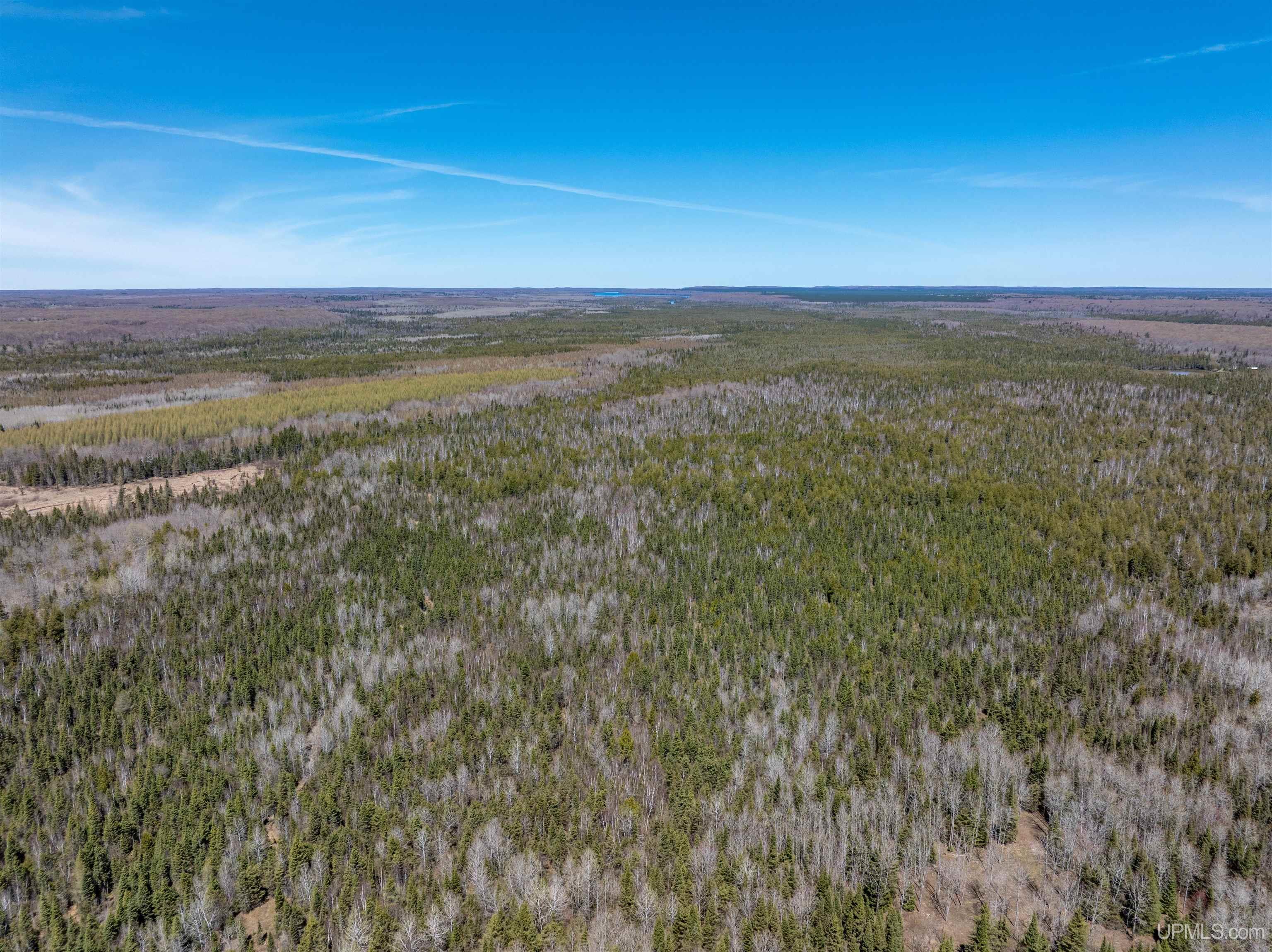 E4291 Walleye Road Chatham, MI 49816 - Photo 20 of 52