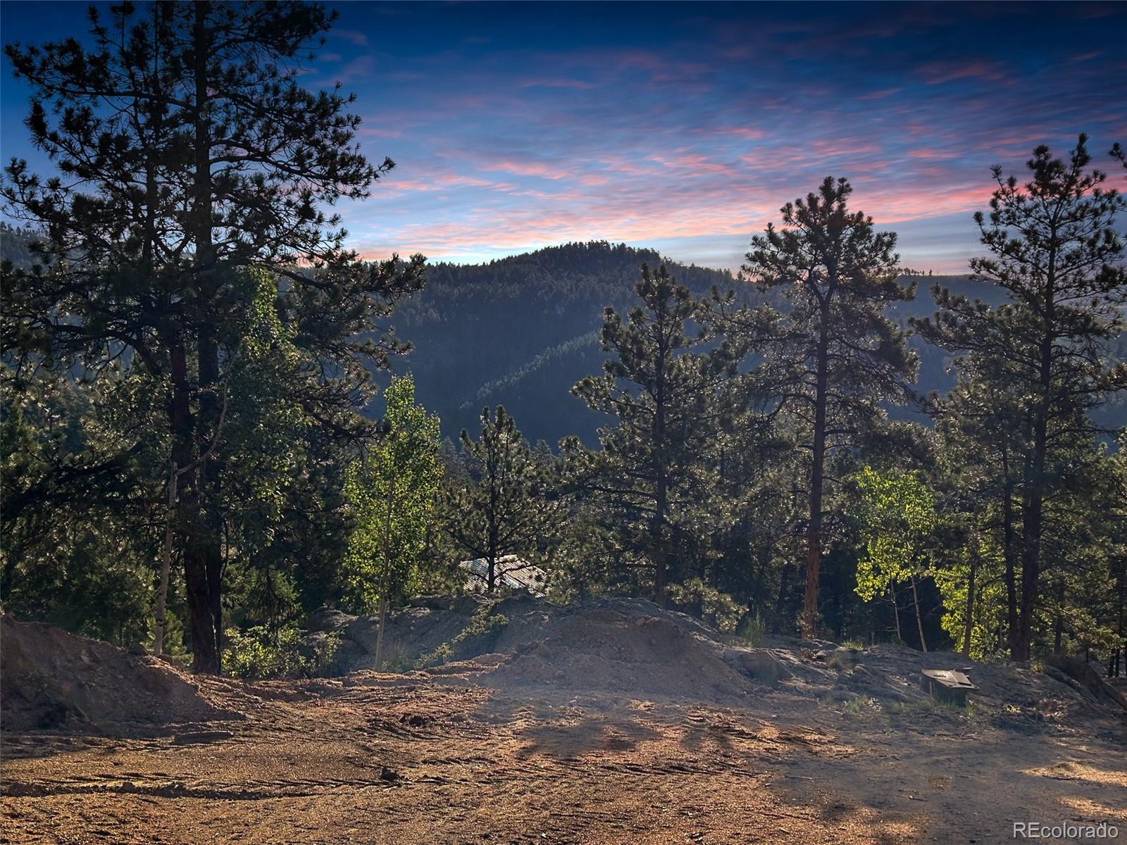4501 County Road 72 Bailey, CO 80421 - Photo 1 of 23 a view of a dry yard with trees