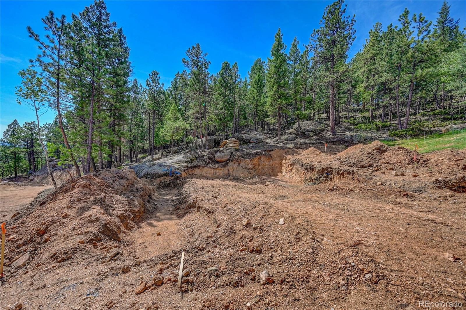 4501 County Road 72 Bailey, CO 80421 - Photo 11 of 23 a view of backyard with green space