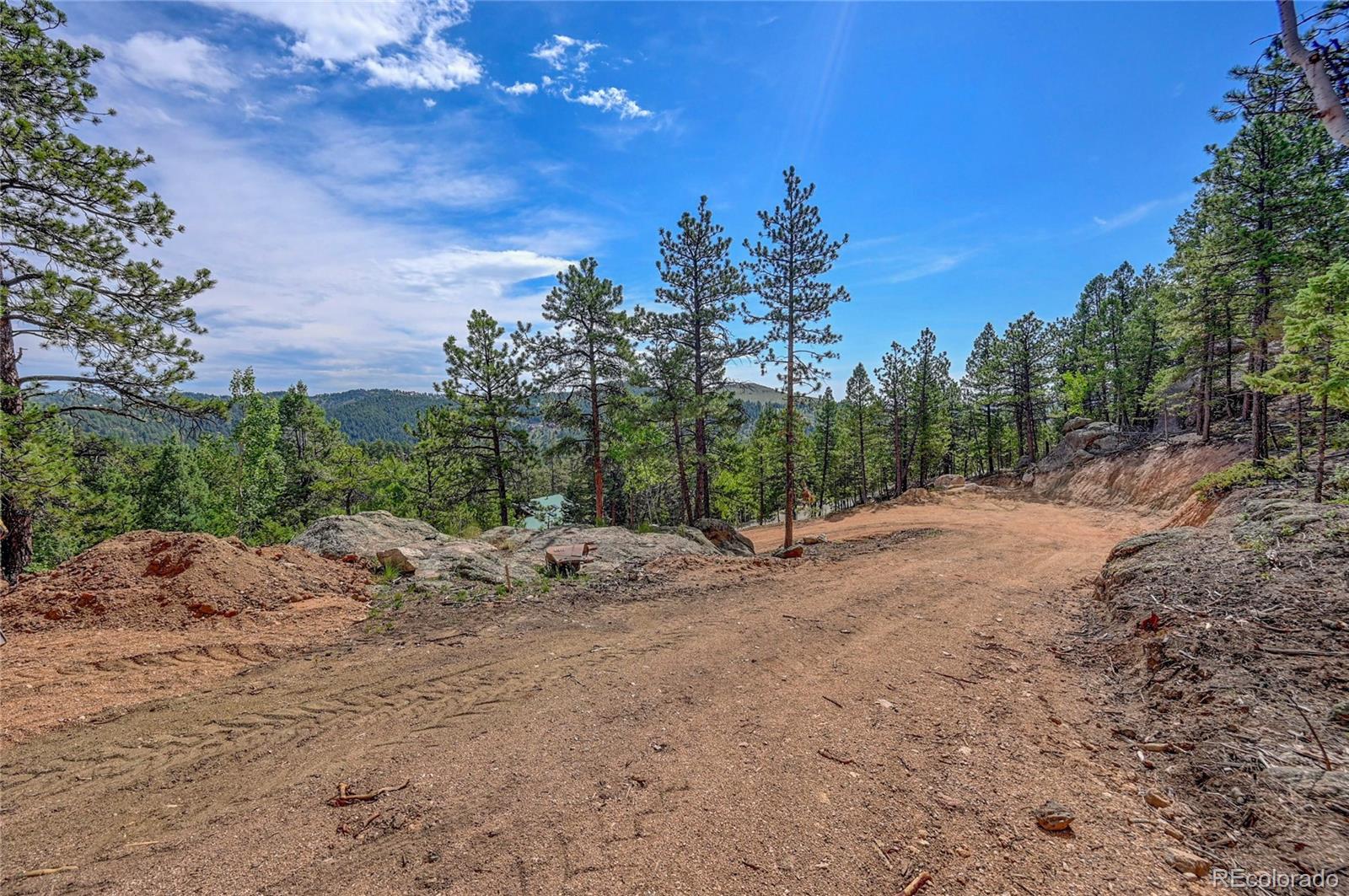 4501 County Road 72 Bailey, CO 80421 - Photo 12 of 23 a view of a dirt road with trees in the background