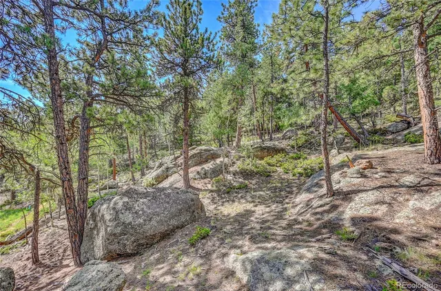 a view of a lush green hillside and a building