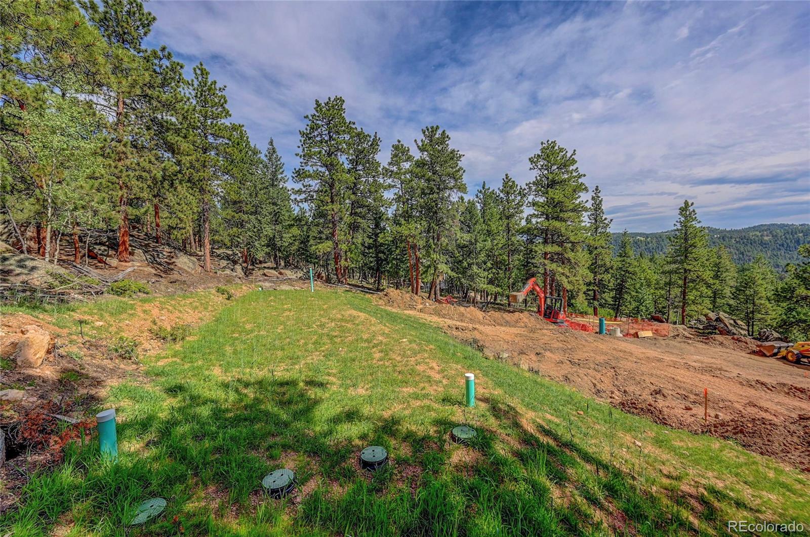4501 County Road 72 Bailey, CO 80421 - Photo 16 of 23 a view of a yard with plants and a trees