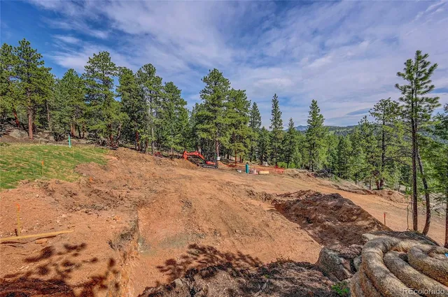 a view of dirt yard with a tree
