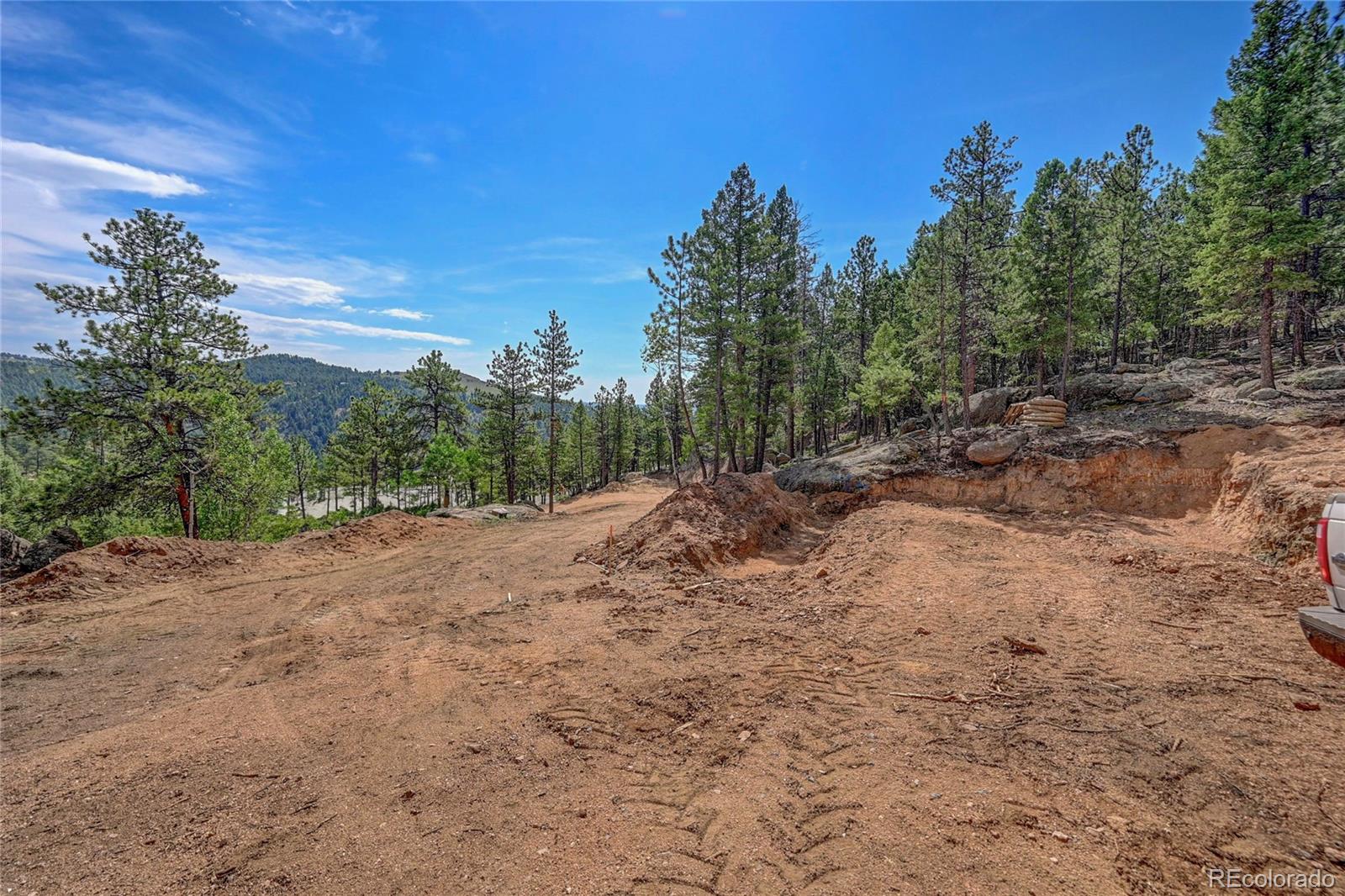 4501 County Road 72 Bailey, CO 80421 - Photo 18 of 23 a view of a yard with a tree