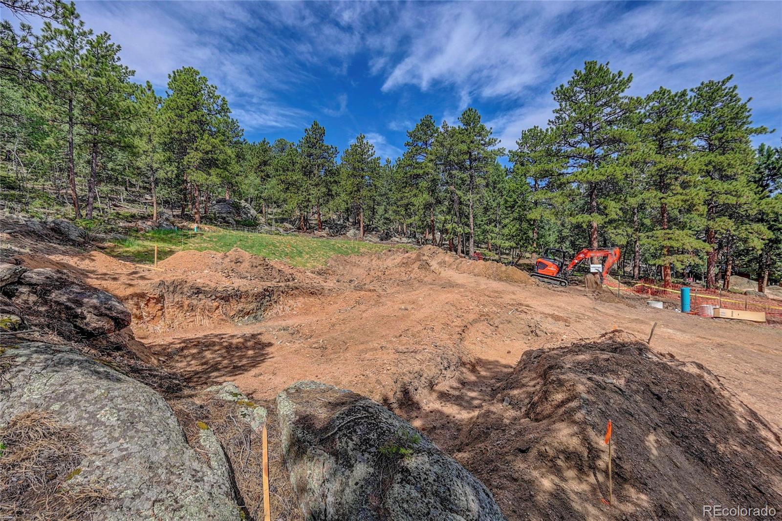 4501 County Road 72 Bailey, CO 80421 - Photo 19 of 23 a view of dirt yard with a tree