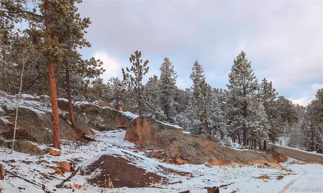 $338,000 | 4501 County Road 72, Bailey, CO 80421