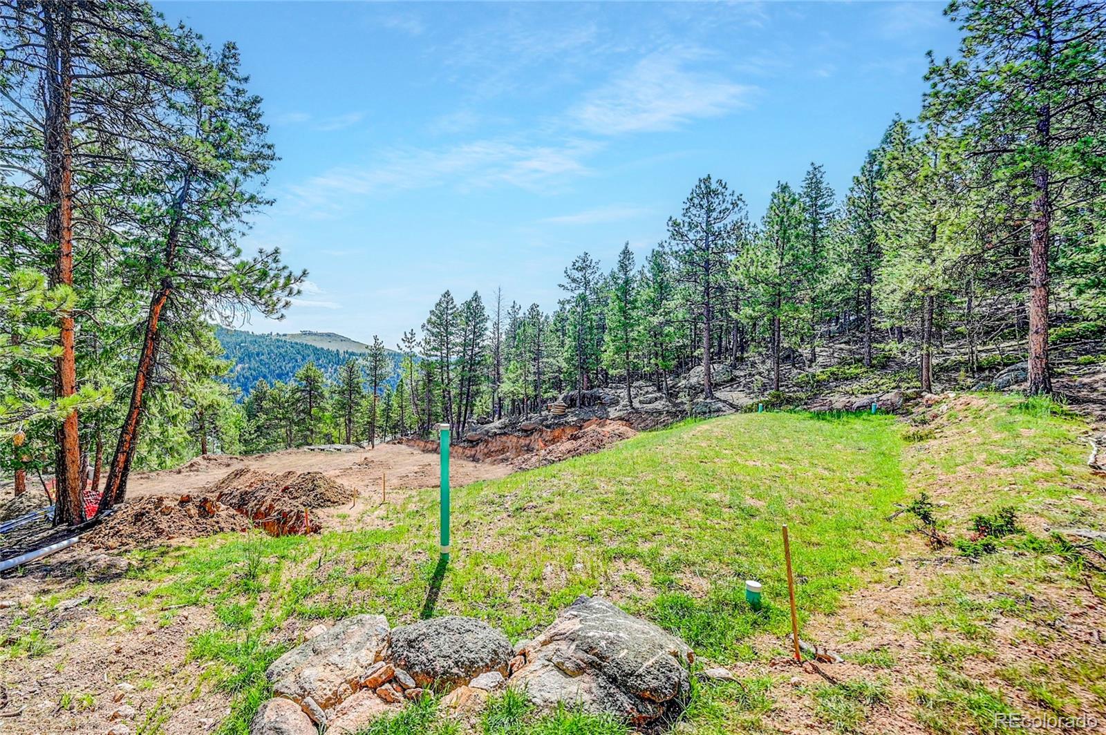 4501 County Road 72 Bailey, CO 80421 - Photo 4 of 23 a view of a garden with a fountain