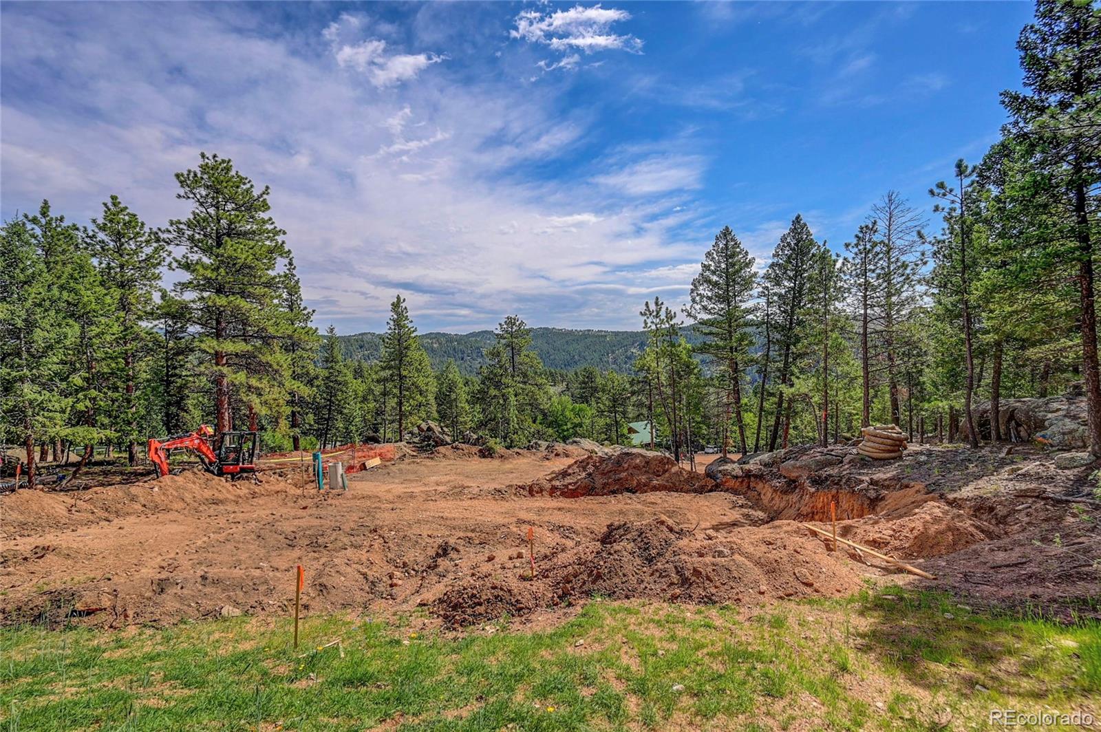 4501 County Road 72 Bailey, CO 80421 - Photo 6 of 23 a view of road with large trees