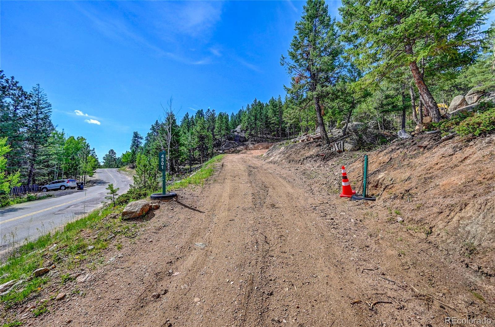 4501 County Road 72 Bailey, CO 80421 - Photo 7 of 23 a view of a dry yard with trees