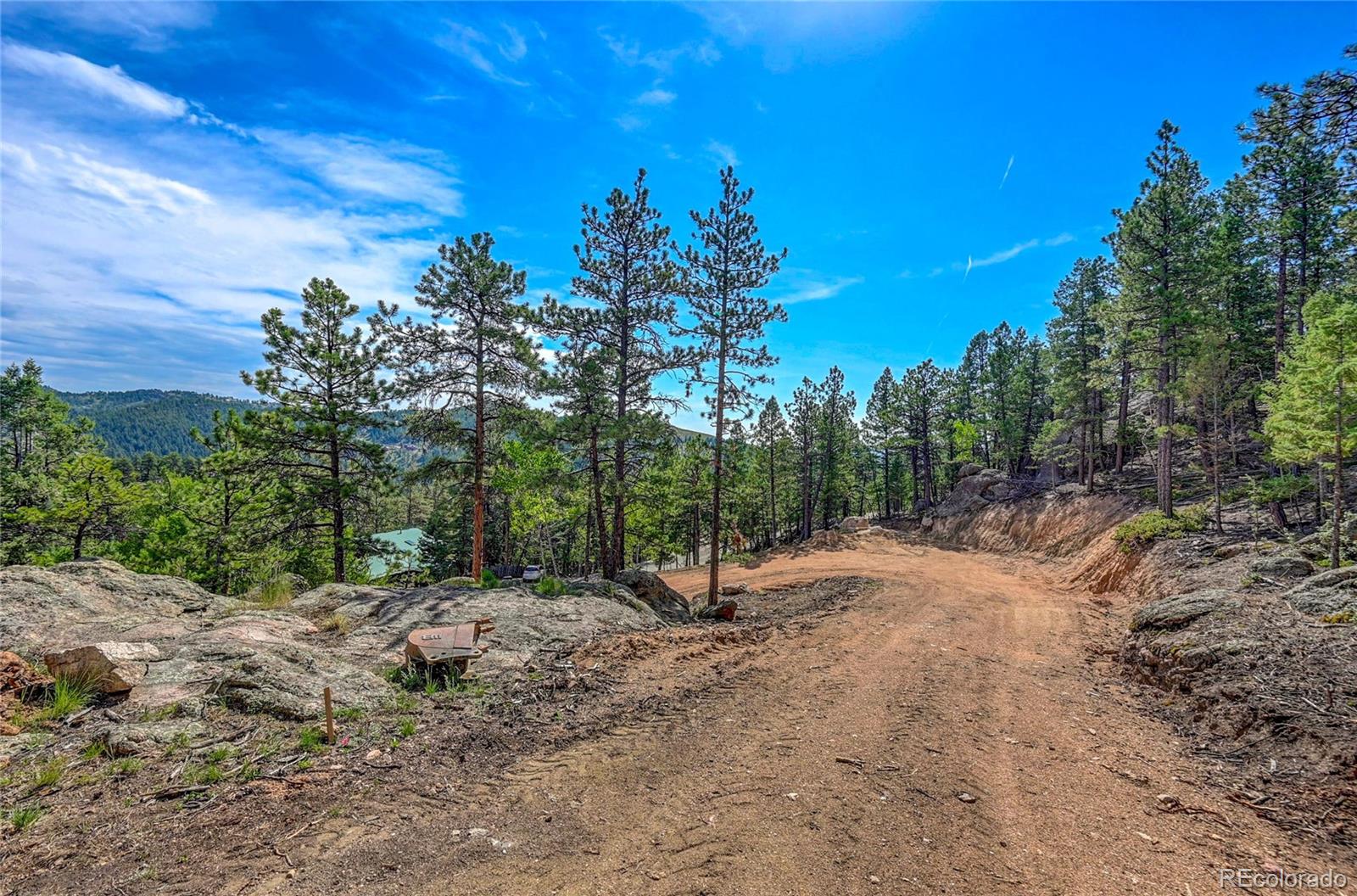 4501 County Road 72 Bailey, CO 80421 - Photo 8 of 23 a view of a forest with trees in the background