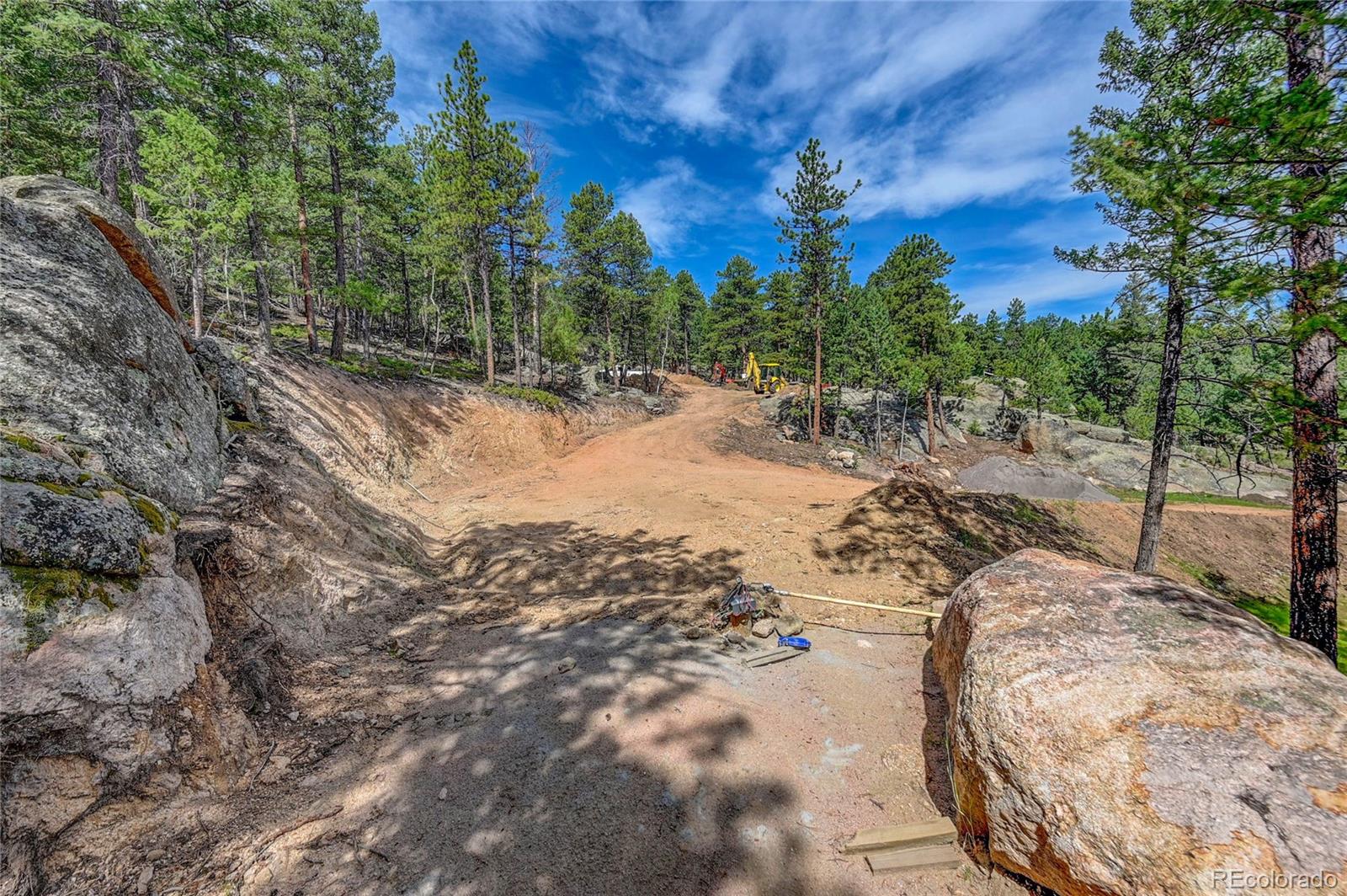 4501 County Road 72 Bailey, CO 80421 - Photo 9 of 23 a view of a dry yard with trees